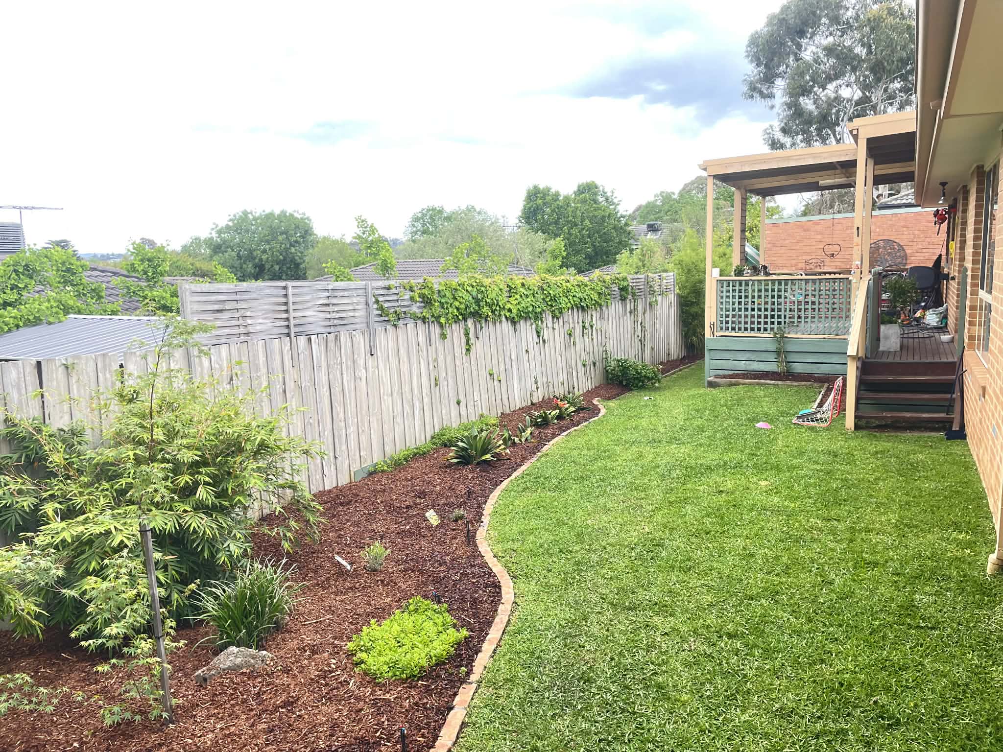 Backyard renovation with new plants in Mitcham