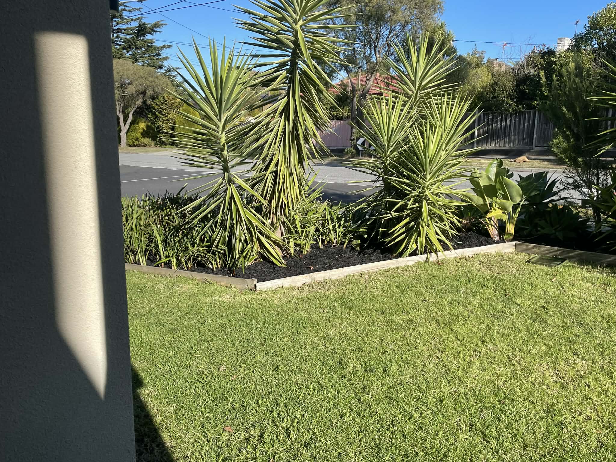 Front yard landscaping and planting in Vermont