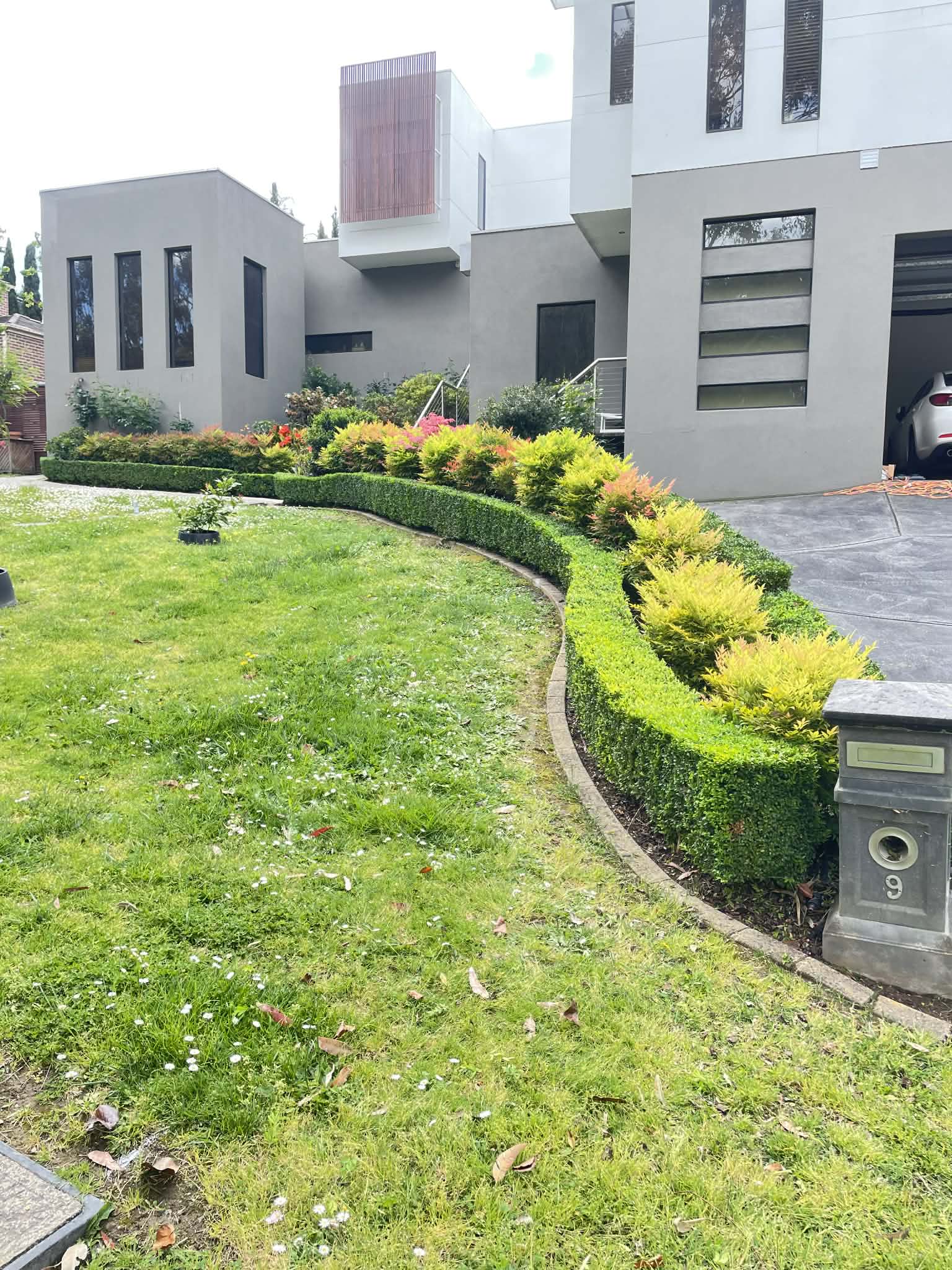 Neatly trimmed hedge in a Doncaster garden