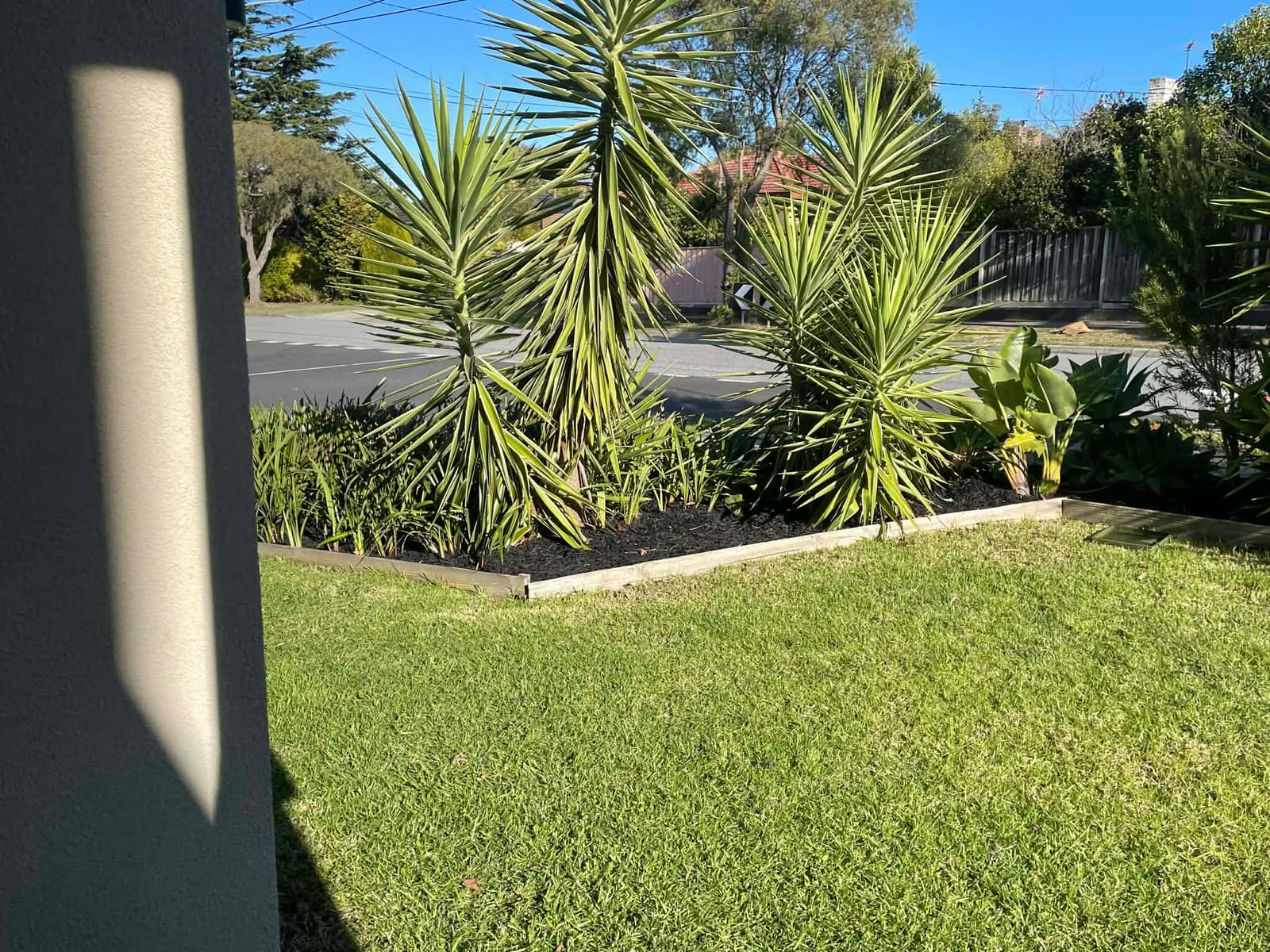 Front yard landscaping and planting in Vermont
