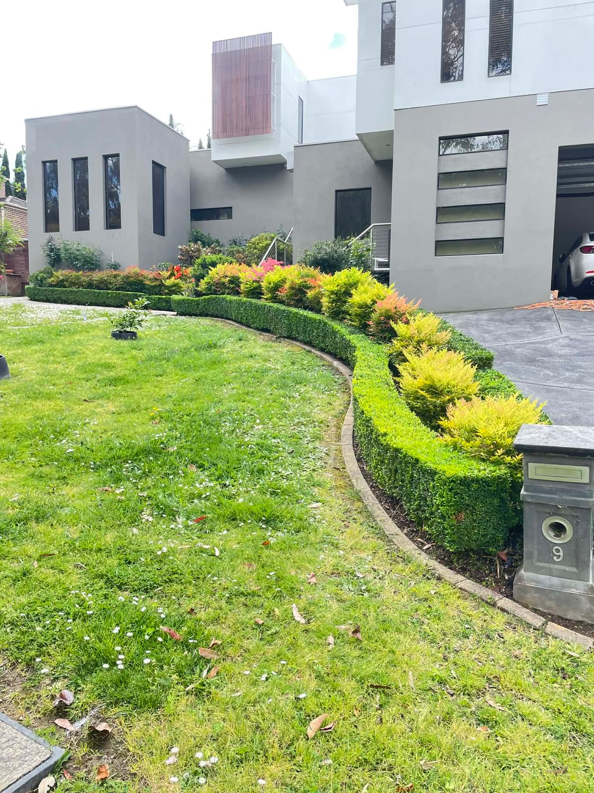 Hedge trimming and edging on a Box Hill property